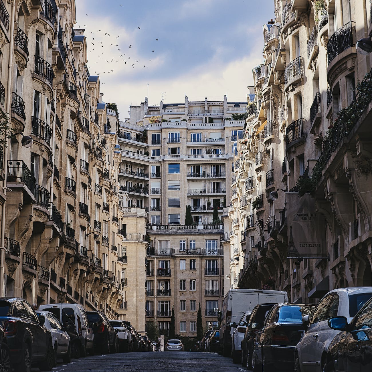 symmetrical view of haussmann buildings in paris